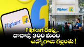 Flipkart లేఆఫ్స్.. దాదాపు 300 మంది ఉద్యోగాలు గల్లంతు !