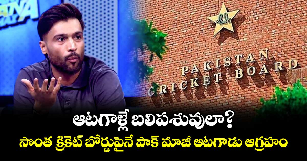 PCB vs Amir: ఆటగాళ్లే బలిపశువులా?.. సొంత క్రికెట్ బోర్డుపైనే  పాక్ మాజీ ఆటగాడు ఆగ్రహం