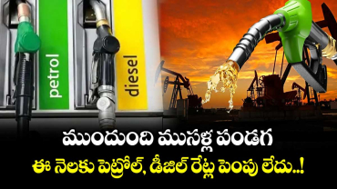 ముందుంది ముసళ్ల పండగ : ఈ నెలకు పెట్రోల్, డీజిల్ రేట్ల పెంపు లేదు..!
