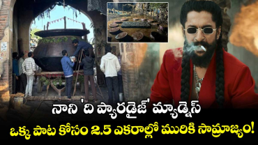 The Paradise: నాని 'ది ప్యారడైజ్' మ్యాడ్నెస్.. ఒక్క పాట కోసం 2.5 ఎకరాల్లో మురికి సామ్రాజ్యం!