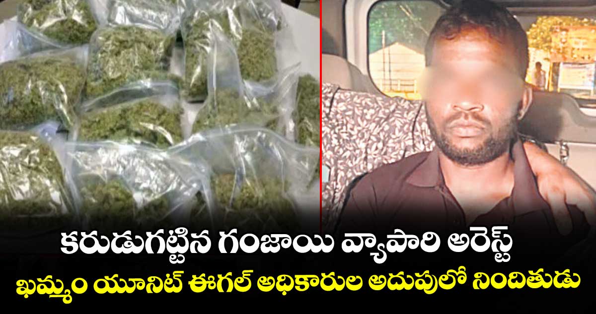 కరుడుగట్టిన గంజాయి వ్యాపారి అరెస్ట్.. ఖమ్మం యూనిట్ ఈగల్ అధికారుల అదుపులో నిందితుడు