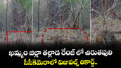 ఖమ్మం జిల్లా తల్లాడ రేంజ్ లో చిరుతపులి... సీసీకెమెరాలో విజువల్స్ రికార్డ్.. 