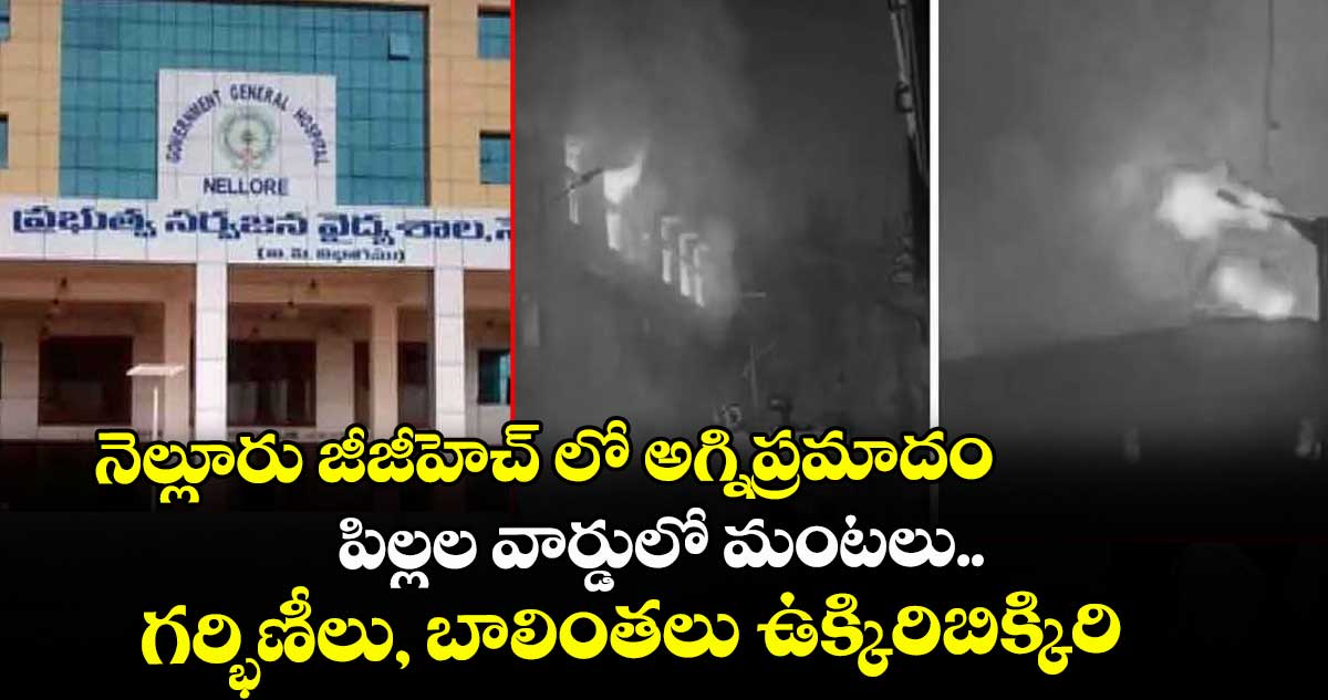 నెల్లూరు జీజీహెచ్ లో అగ్నిప్రమాదం... పిల్లల వార్డులో మంటలు.. గర్భిణీలు, బాలింతలు ఉక్కిరిబిక్కిరి