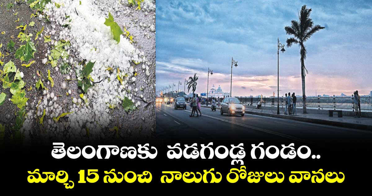 తెలంగాణకు  వడగండ్ల గండం.. మార్చి 15 నుంచి  నాలుగు రోజులు వానలు