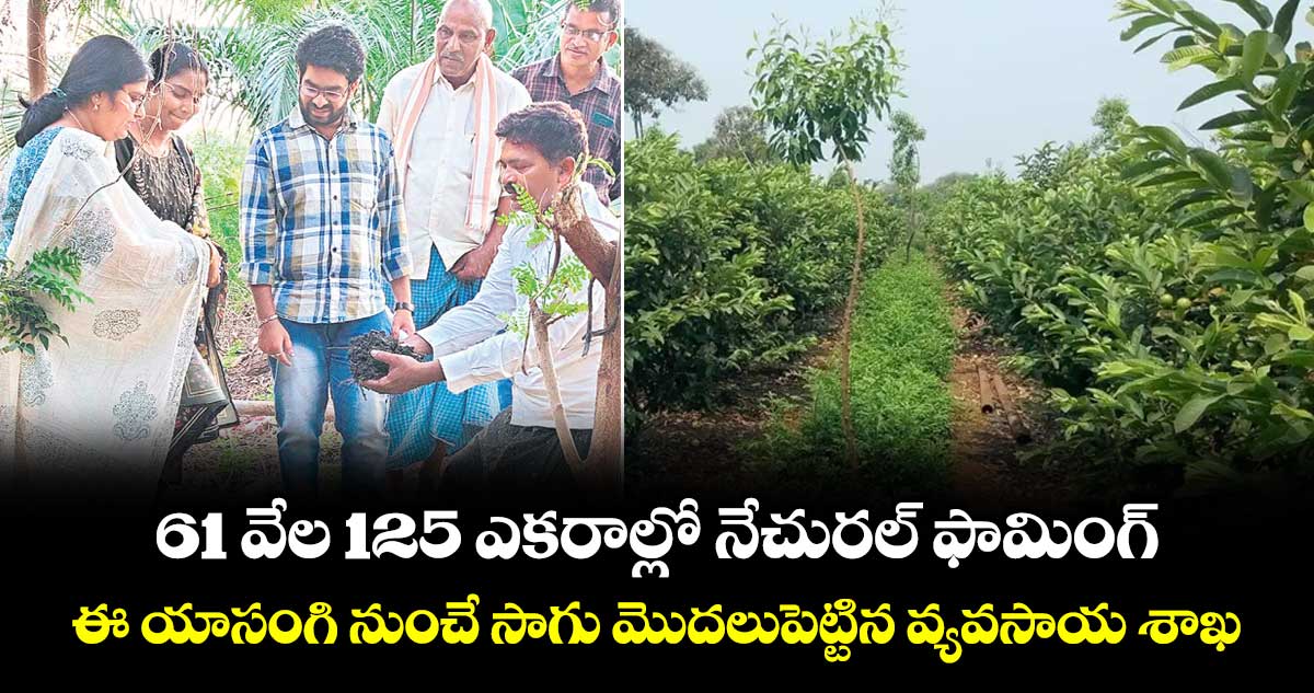 61 వేల 125 ఎకరాల్లో నేచురల్ ఫామింగ్... ఈ యాసంగి నుంచే సాగు మొదలుపెట్టిన వ్యవసాయ శాఖ