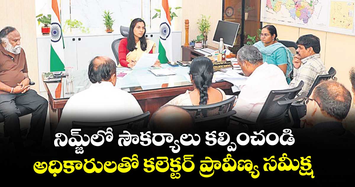 నిమ్జ్లో సౌకర్యాలు కల్పించండి.. అధికారులతో కలెక్టర్ ప్రావీణ్య సమీక్ష