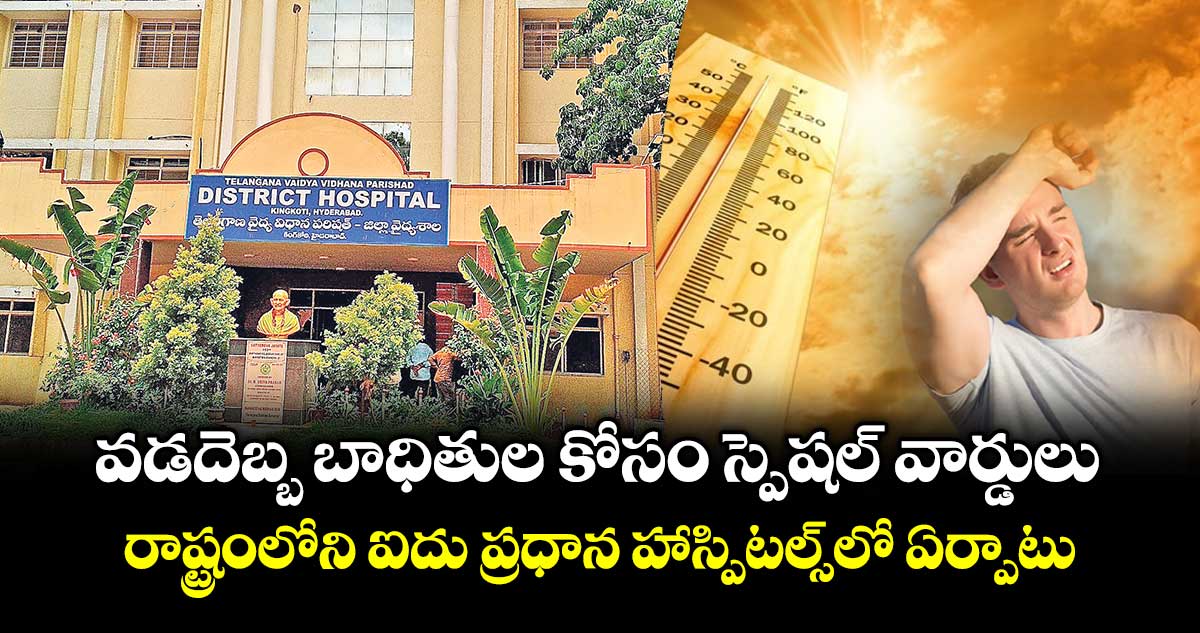 వడదెబ్బ బాధితుల కోసం స్పెషల్ వార్డులు..  రాష్ట్రంలోని ఐదు ప్రధాన హాస్పిటల్స్ లో ఏర్పాటు