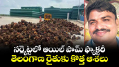 నర్మెట్టలో ఆయిల్ పామ్ ఫ్యాక్టరీ... తెలంగాణ రైతుకు కొత్త ఆశలు