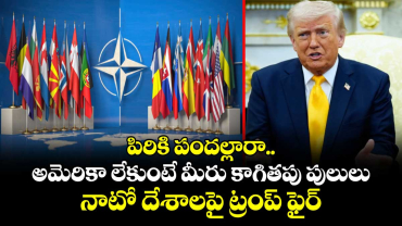 పిరికి పందల్లారా.. అమెరికా లేకుంటే మీరు కాగితపు పులులు: నాటో దేశాలపై ట్రంప్ ఫైర్