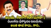 విజయ్.. కింగా.. కింగ్ మేకరా ? డీఎంకేను ఢీకొట్టడం విజయ్‌‌‌‌కు అంత ఈజీ కాదు.. కానీ..