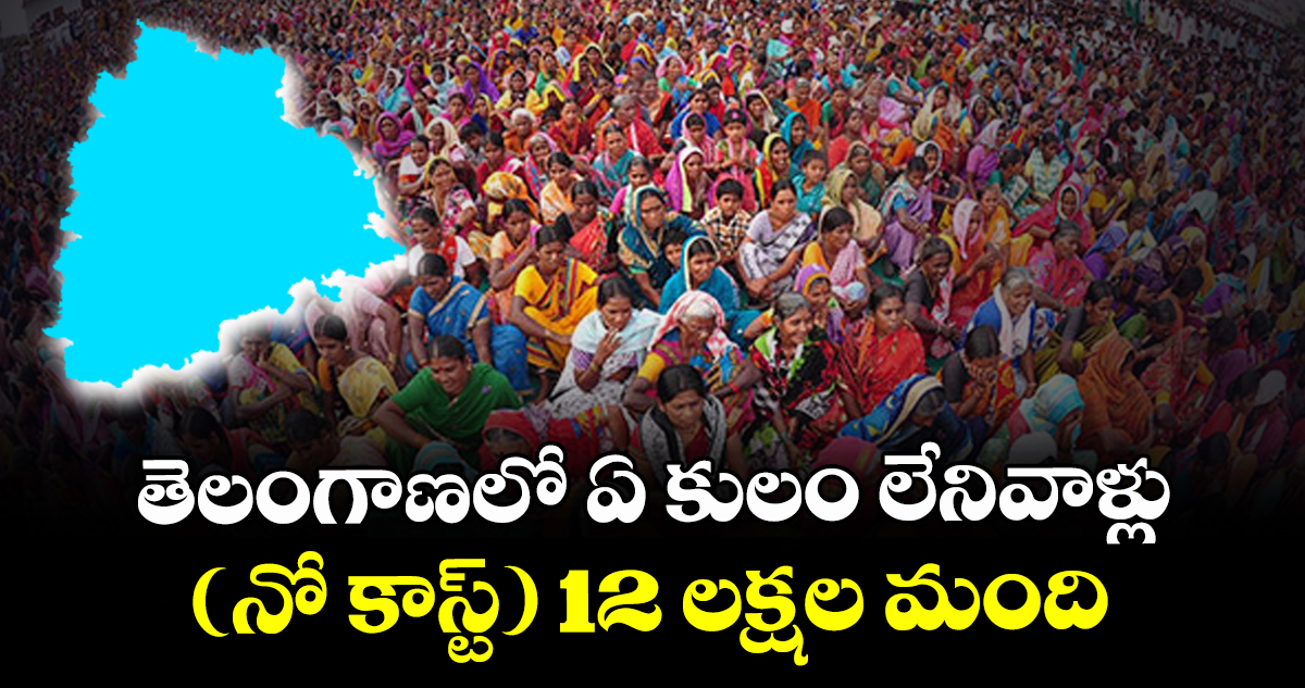 తెలంగాణలో ఏ కులం లేనివాళ్లు (నో కాస్ట్) 12 లక్షల మంది