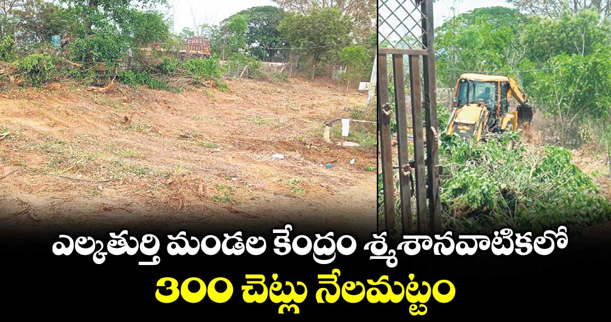 ఎల్కతుర్తి మండల కేంద్రం శ్మశానవాటికలో 300 చెట్లు నేలమట్టం