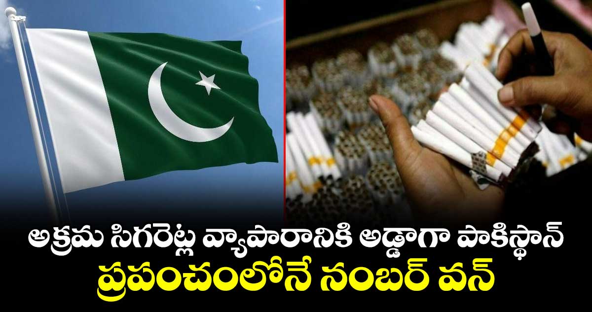 అక్రమ సిగరెట్ల వ్యాపారానికి అడ్డాగా పాకిస్థాన్.. ప్రపంచంలోనే నంబర్ వన్