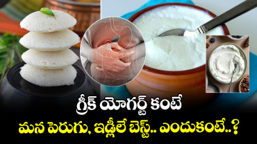  గ్రీక్ యోగర్ట్ కంటే మన పెరుగు, ఇడ్లీలే బెస్ట్.. ఎందుకంటే..?  