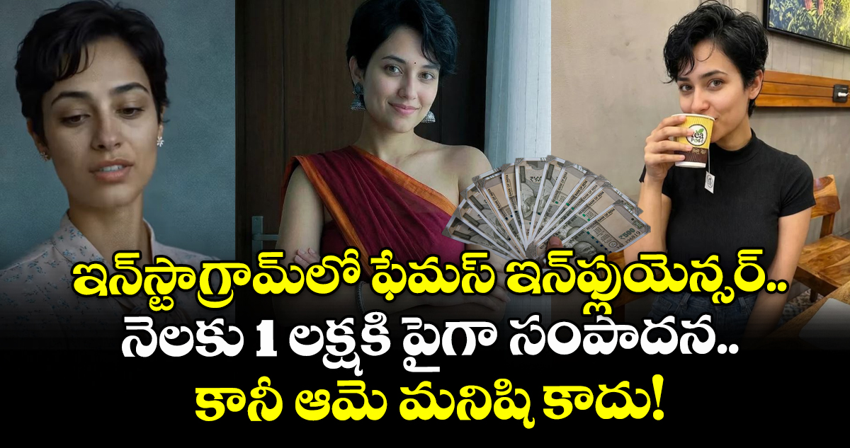  ఇన్‌స్టాగ్రామ్‌లో ఫేమస్ ఇన్‌ఫ్లుయెన్సర్.. నెలకు 1 లక్షకి పైగా సంపాదన.. కానీ ఆమె మనిషి కాదు!