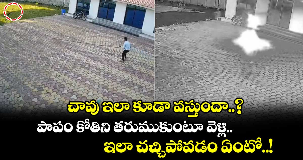 చావు ఇలా కూడా వస్తుందా..? పాపం కోతిని తరుముకుంటూ వెళ్లి. ఇలా చచ్చిపోవడం ఏంటో..!