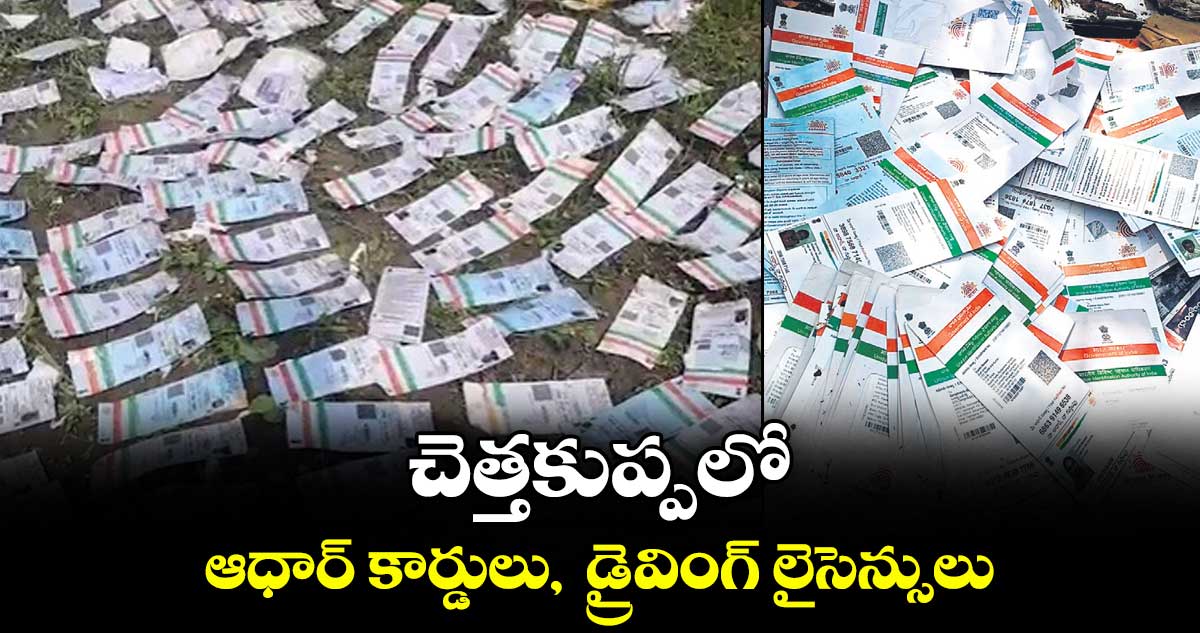 చెత్తకుప్పలో ఆధార్ కార్డులు, డ్రైవింగ్ లైసెన్సులు