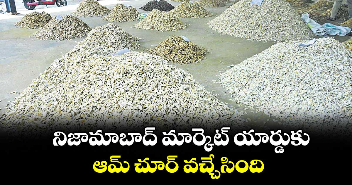 నిజామాబాద్ మార్కెట్ యార్డుకు ఆమ్ చూర్ వచ్చేసింది