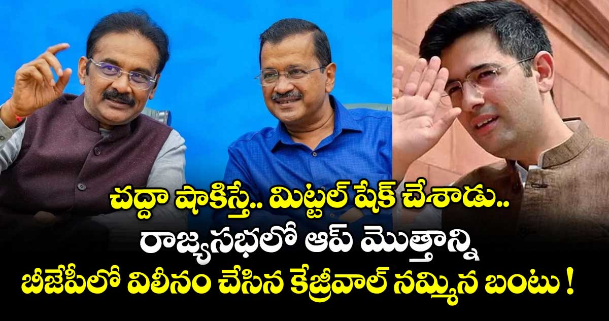 చద్దా షాకిస్తే.. మిట్టల్ షేక్ చేశాడు.. రాజ్యసభలో ఆప్ మొత్తాన్ని బీజేపీలో విలీనం చేసిన కేజ్రీవాల్ నమ్మిన బంటు !