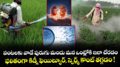పంటలకు వాడే పురుగు మందు మన ఒంట్లోకి ఇలా చేరడం.. ఫలితంగా కిడ్నీ ఫెయిల్యూర్, స్పెర్మ్ కౌంట్ తగ్గడం !