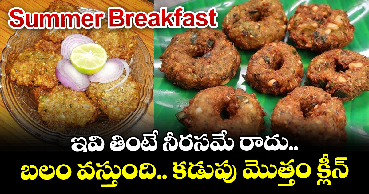 Summer Breakfast : ఇవి తింటే నీరసమే రాదు.. బలం వస్తుంది.. కడుపు మొత్తం క్లీన్
