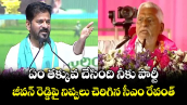 ఏం తక్కువ చేసింది నీకు పార్టీ: జీవన్ రెడ్డిపై నిప్పులు చెరిగిన సీఎం