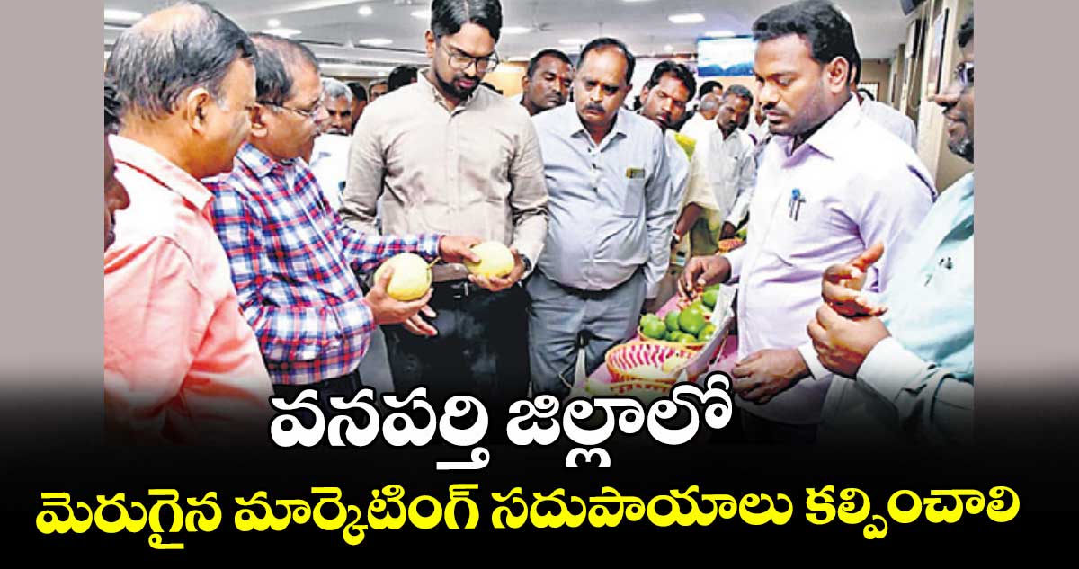 వనపర్తి జిల్లాలో  మెరుగైన మార్కెటింగ్ సదుపాయాలు కల్పించాలి : కలెక్టర్ ఆదర్శ్ సురభి