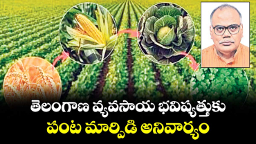 తెలంగాణ వ్యవసాయ భవిష్యత్తుకు పంట మార్పిడి అనివార్యం