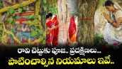 ఆధ్యాత్మికం.. రావి చెట్టుకు పూజ.. ప్రదక్షిణలు... పాటించాల్సిన నియమాలు ఇవే..
