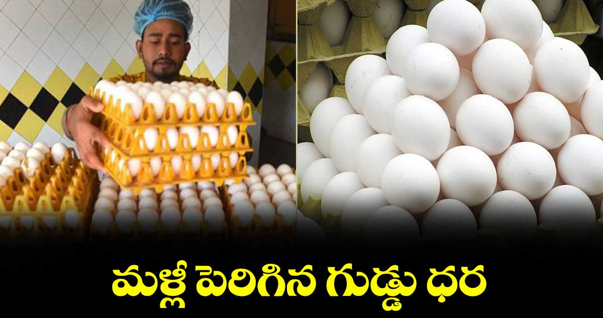 మళ్లీ పెరిగిన గుడ్డు ధర
