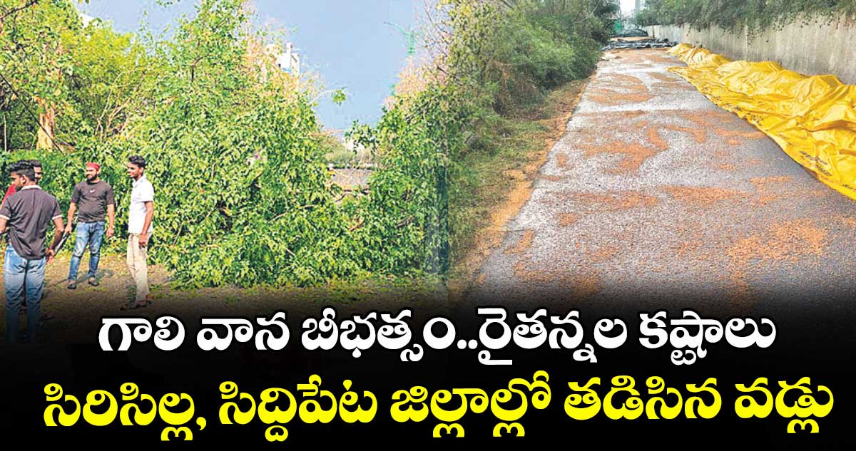 గాలి వాన బీభత్సం..రైతన్నల కష్టాలు.. సిరిసిల్ల, సిద్దిపేట జిల్లాల్లో తడిసిన వడ్లు