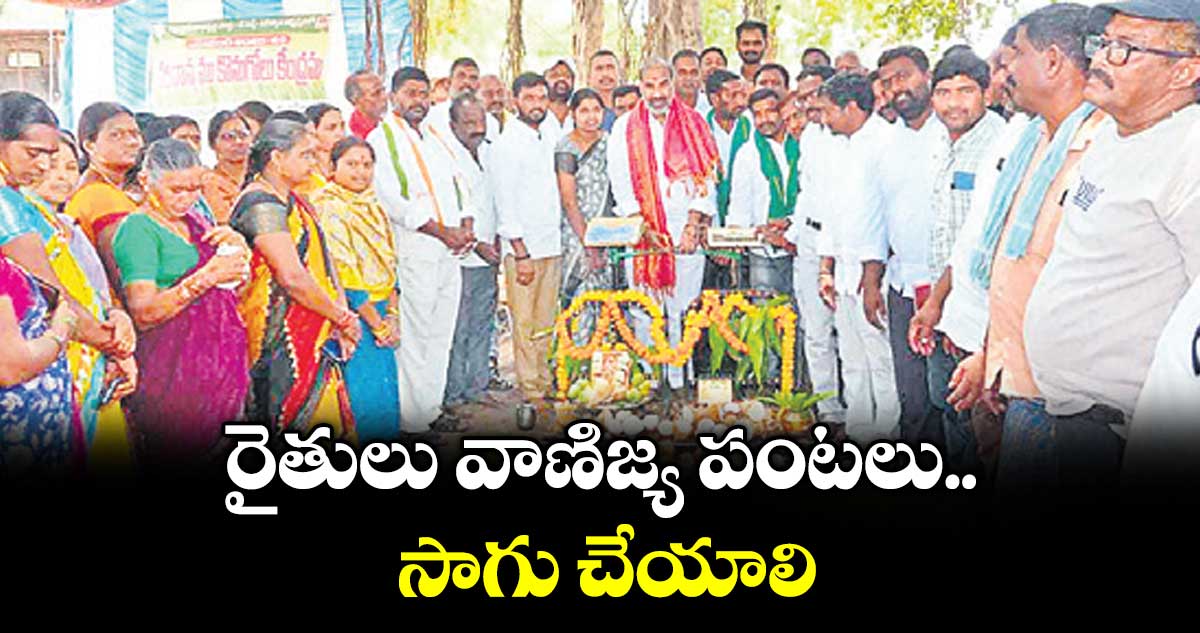 రైతులు వాణిజ్య పంటలు సాగు చేయాలి: ఎమ్మెల్యే ఆది శ్రీనివాస్