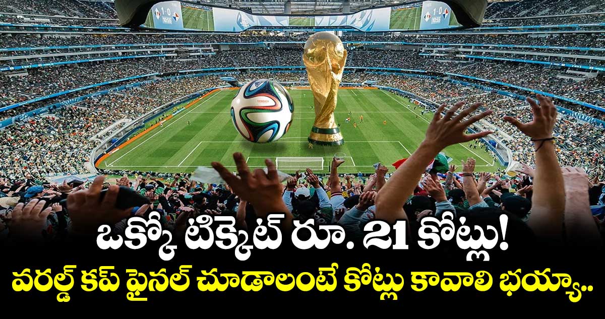 FIFA World Cup: ఒక్కో టిక్కెట్ రూ. 21 కోట్లు! : వరల్డ్ కప్ ఫైనల్ చూడాలంటే కోట్లు కావాలి భయ్యా..