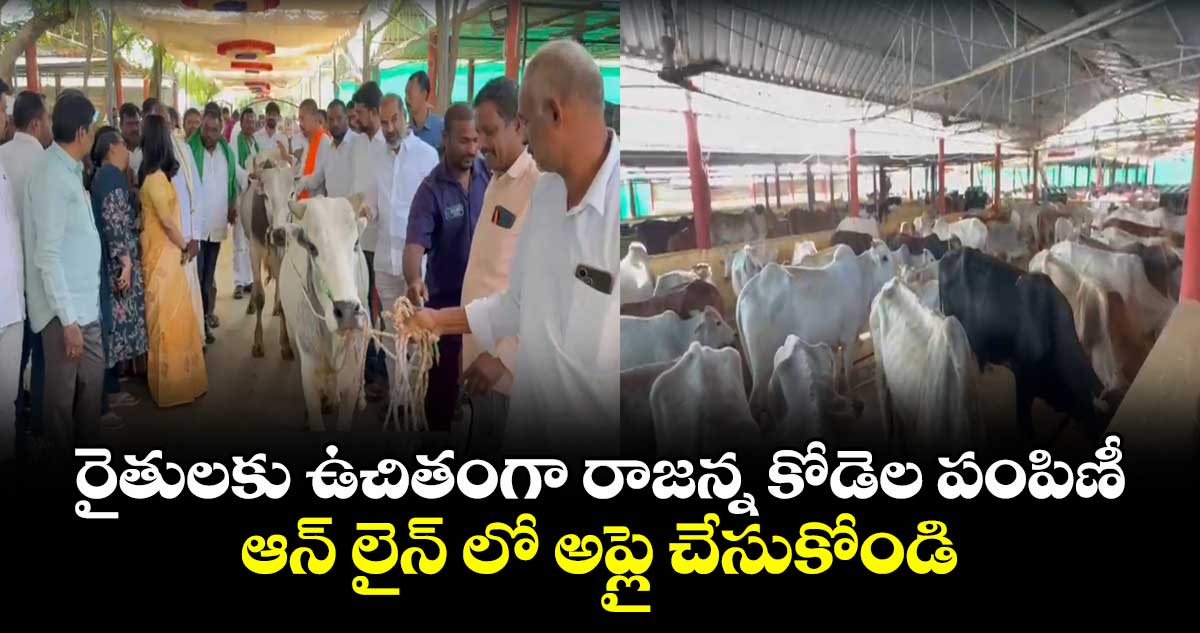 రైతులకు ఉచితంగా రాజన్న కోడెల పంపిణీ.. ఆన్ లైన్ లో అప్లై చేసుకోండి