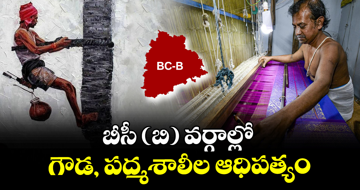 బీసీ (బి) వర్గాల్లో గౌడ, పద్మశాలీల ఆధిపత్యం