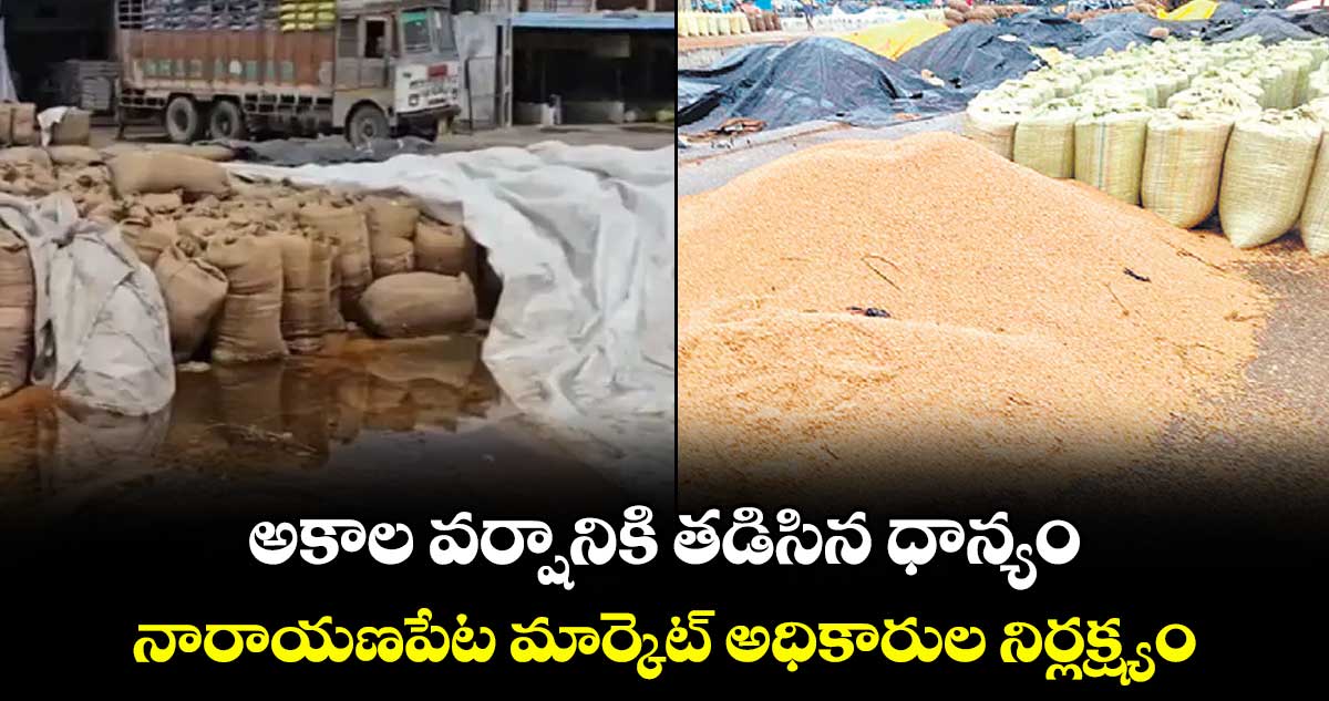 అకాల వర్షానికి తడిసిన ధాన్యం....నారాయణపేట మార్కెట్ అధికారుల నిర్లక్ష్యం