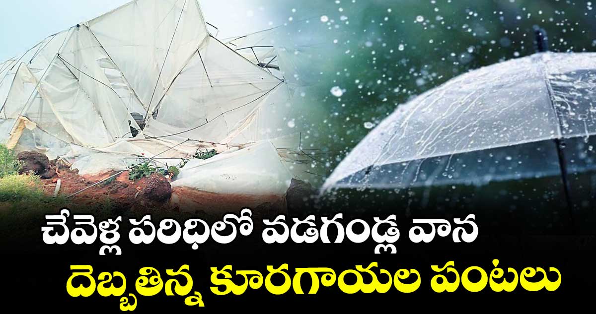 చేవెళ్ల పరిధిలో వడగండ్ల వాన.. దెబ్బతిన్న కూరగాయల పంటలు