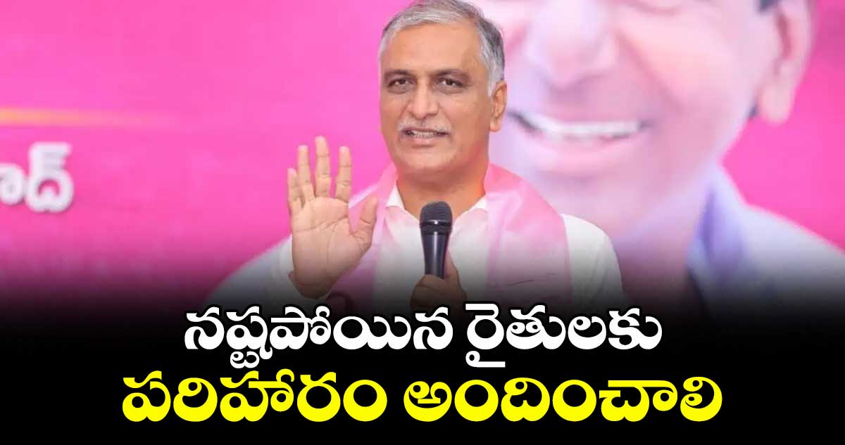 నష్టపోయిన రైతులకు పరిహారం అందించాలి : హరీశ్‌‌‌‌‌‌‌‌ రావు