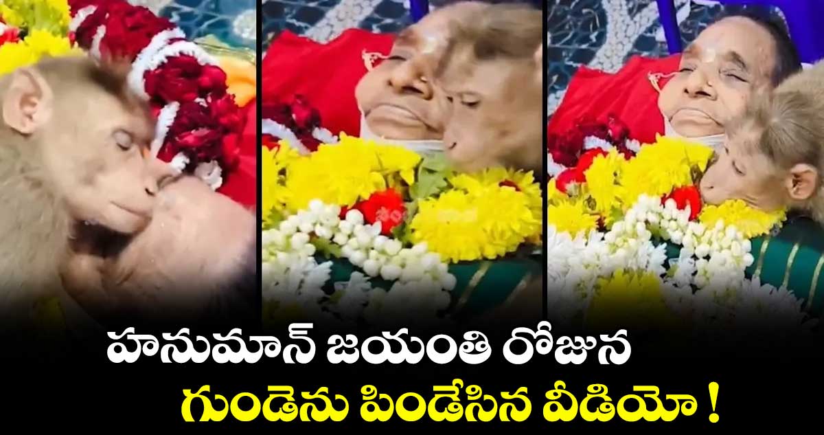హనుమాన్ జయంతి రోజున  గుండెను పిండేసిన వీడియో !