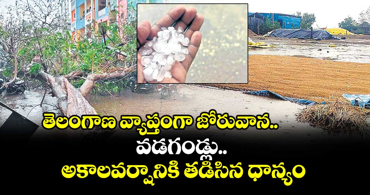 తెలంగాణ వ్యాప్తంగా జోరువాన.. వడగండ్లు..అకాలవర్షానికి తడిసిన ధాన్యం