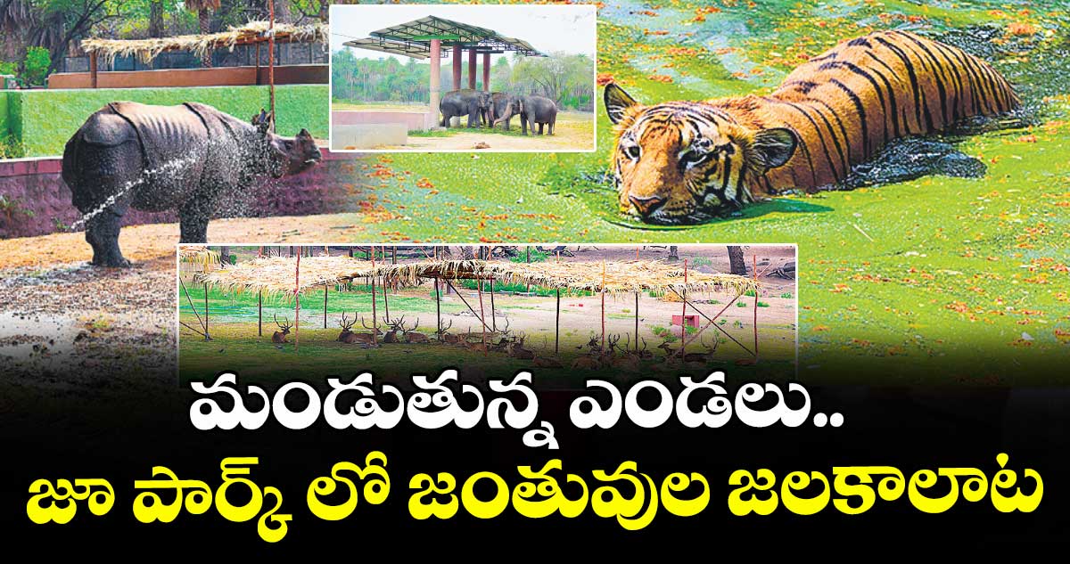 మండుతున్న ఎండలు.. జూ పార్క్ లో జంతువుల జలకాలాట