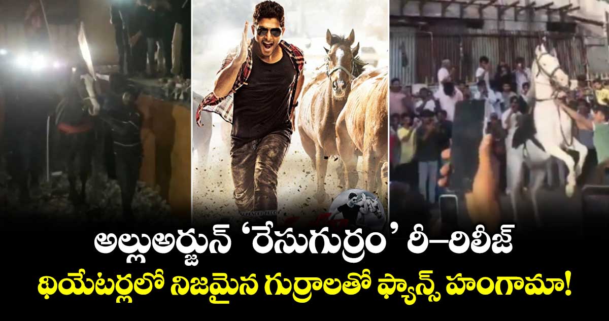 అల్లుఅర్జున్ 'రేసుగుర్రం' రీ-రిలీజ్.. థియేటర్లలో నిజమైన గుర్రాలతో ఫ్యాన్స్ హంగామా!