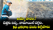 అయ్యో పాపం..! చెత్తకు నిప్పు.. జామాయిల్ దగ్ధం..10 ఎకరాల పంట అగ్గిపాలు