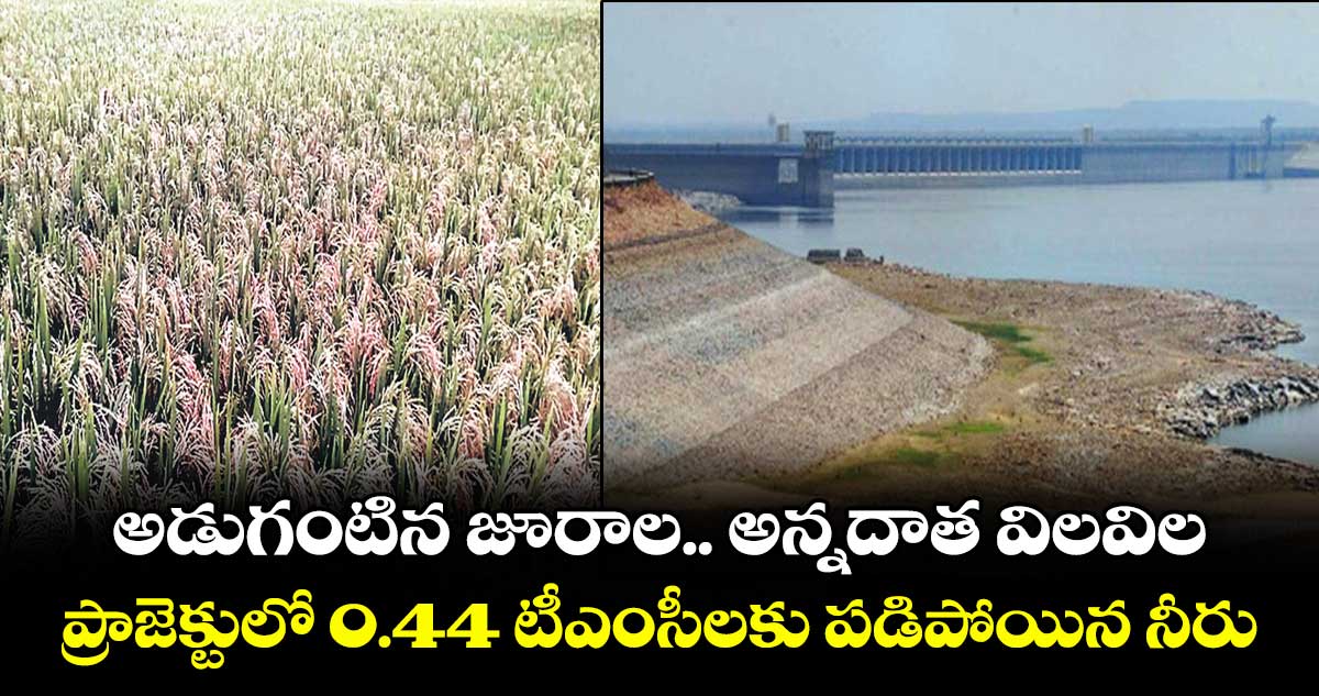 అడుగంటిన జూరాల.. అన్నదాత విలవిల.. ప్రాజెక్టులో 0.44 టీఎంసీలకు పడిపోయిన నీరు