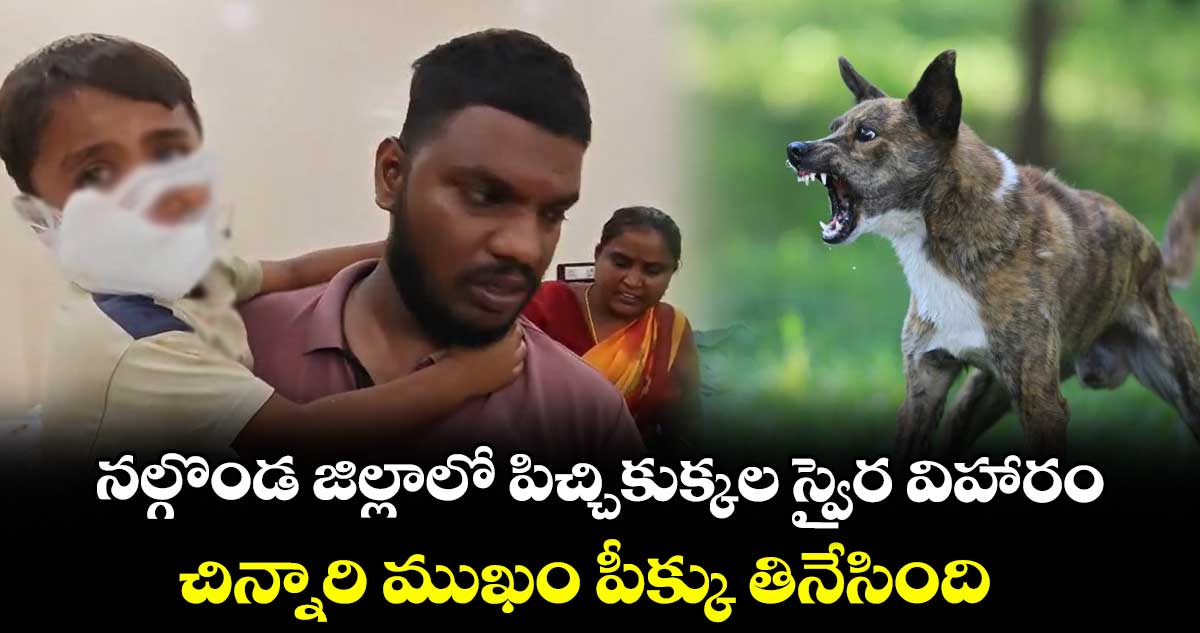 నల్గొండ జిల్లాలో పిచ్చికుక్కల స్వైర విహారం... చిన్నారి ముఖం పీక్కు తినేసింది...