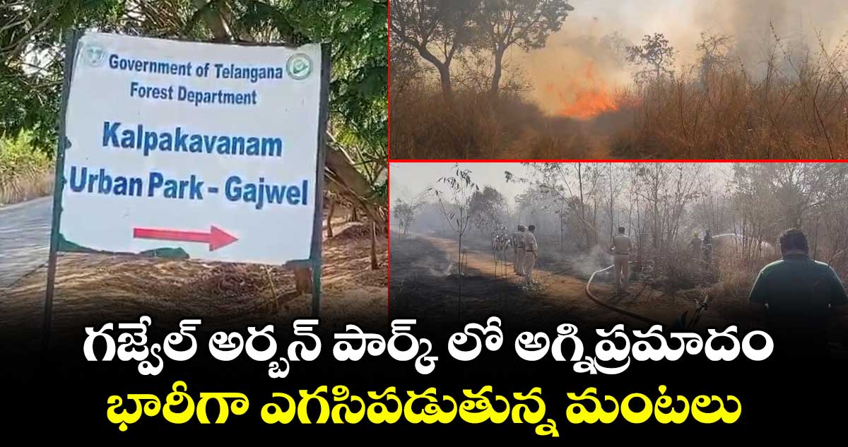 గజ్వేల్ అర్బన్ పార్క్ లో అగ్నిప్రమాదం.. భారీగా ఎగసిపడుతున్న మంటలు..