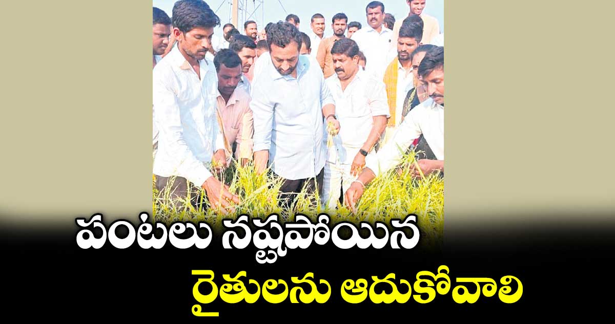 పంటలు నష్టపోయిన రైతులను ఆదుకోవాలి :  ఎంపీ రఘునందన్‌‌రావు