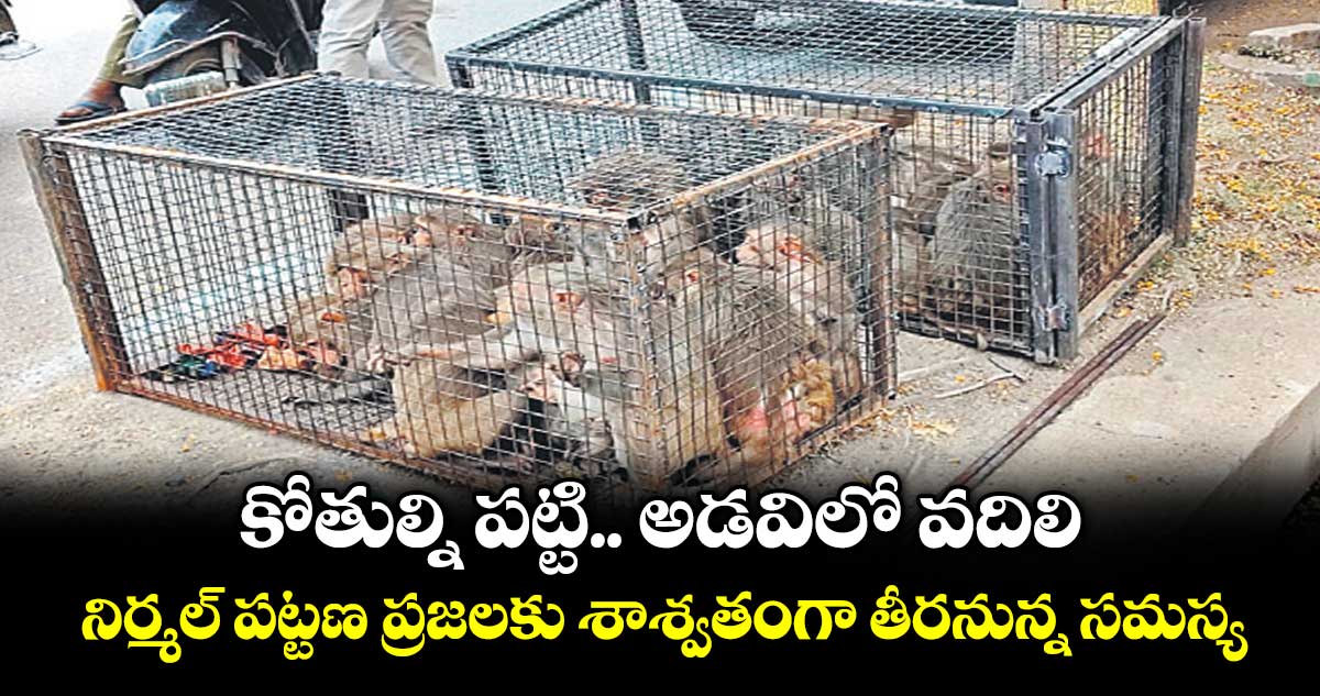 కోతుల్ని పట్టి..  అడవిలో వదిలి.. నిర్మల్ పట్టణ ప్రజలకు శాశ్వతంగా తీరనున్న సమస్య