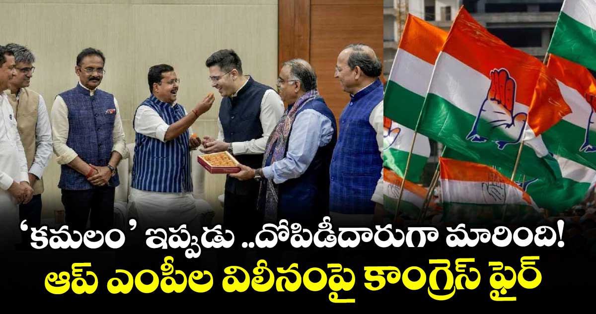 ‘కమలం’ ఇప్పుడు  ..దోపిడీదారుగా మారింది!.. ఆప్ ఎంపీల విలీనంపై కాంగ్రెస్ ఫైర్