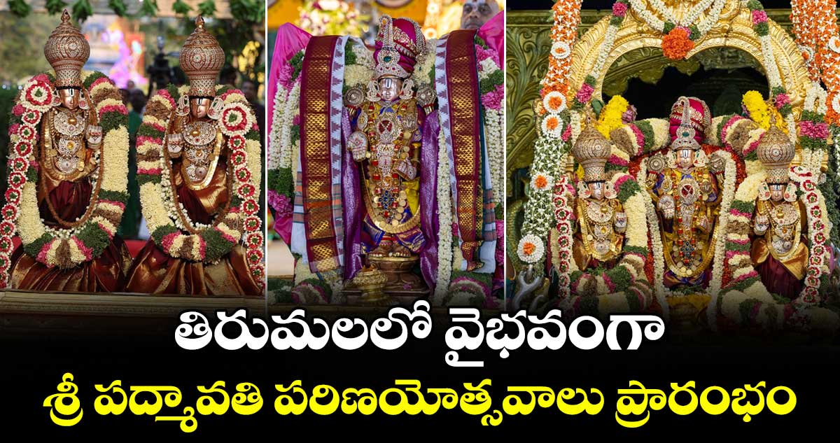 తిరుమలలో వైభవంగా శ్రీ పద్మావతి పరిణయోత్సవాలు ప్రారంభం...